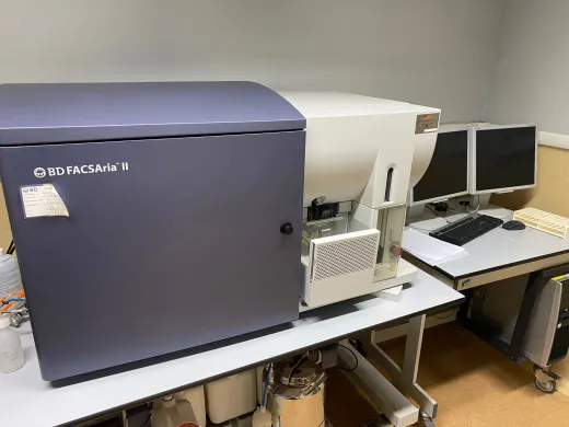 BD FacsARIA II