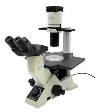 Olympus CK40 Inverted Microscope with Phase Contrast