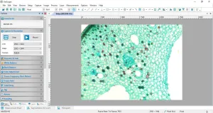 Nikon Eclipse E800 Upright Fluorescence Microscope with CFI60 Optical System and Digital Imaging, 20 of 27