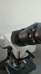 Olympus BX41 Compound Microscope with Dual Head Bridge and LED Side-by-Side Pointer, 6 of 7