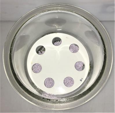 Corning PYREX 210mm ID Glass Desiccator with Coors Plate-cover