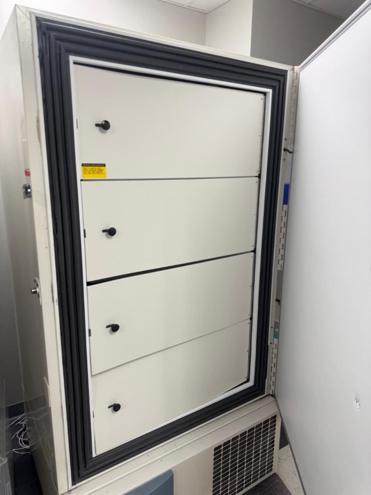 Thermo Fisher Scientific Forma Model 8606 -86°C Ultra Low Temperature Freezer