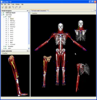 OpenSim (simulation toolkit)