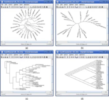Dendroscope