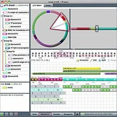 Gene Designer