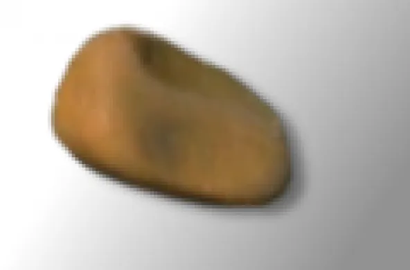 PEBL