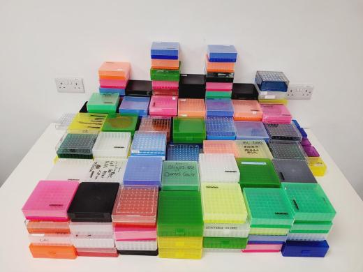 Lot of Assorted Pipette Tips Storage Boxes Lab-cover