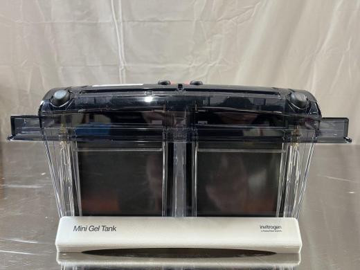 Thermo Scientific Mini Gel Tank A25977 Compact Gel Electrophoresis System-cover