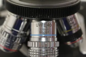 Olympus BH-2 Transmitted Light Fluorescence Microscope with Halogen and Fluorescence Illumination, 5 of 6