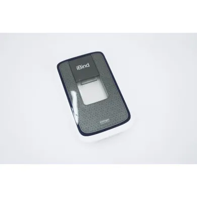 Thermo Scientific iBind Western Device