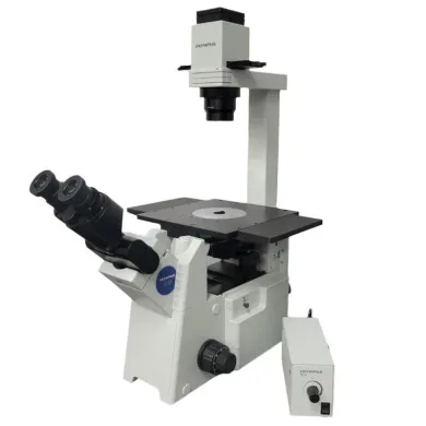 Olympus IX51 Inverted Microscope with Tilting Binocular Head and Phase Contrast for Tissue Culture