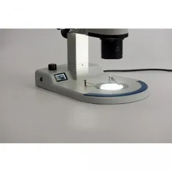 Accu-Scope LED Stereoscope Stand with Focus Mount and Variable LED Illumination, 4 of 6