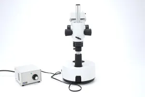 Leica M8 Stereo Microscope with Plan 1x Objective and 20x/13 Eyepieces, 2 of 6