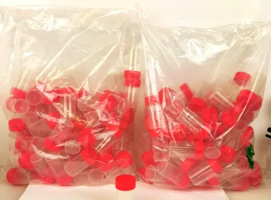 Corning Gosselin TP35C-002 60mL Straight Polypropylene Sample Containers, Pack of 80