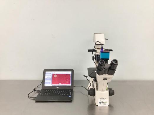 VWR VistaVision Inverted Trinocular Phase Contrast Microscope with Integrated Digital Imaging-cover