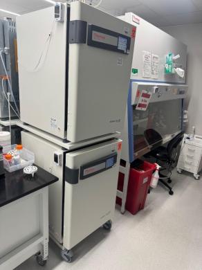 Thermo Scientific HERAcell Vios 160i Double Stack CO2 Incubator System-cover