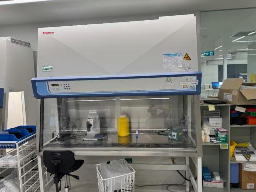Thermo Fisher Scientific Thermo Safe 2020 6' Class II BioSafety Cabinet Model S2020 1.8-cover