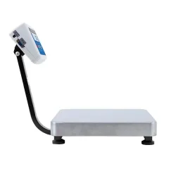 Radwag C315.15.F1.M Load Cell Platform Scale, 2 of 4