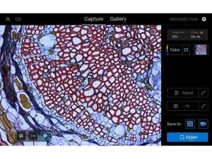 Thermo Fisher EVOS M3000 Phase Contrast and Fluorescence Microscope Imaging System, 3 of 21