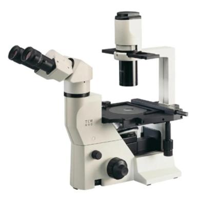 Labomed 7125000 TCM400 Binocular Inverted Phase Microscope-cover