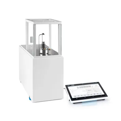 Radwag WAY 200.5Y.KO Mass Comparator