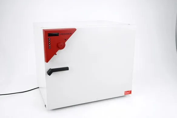 Binder BD 115 Microbiological Incubator, 115 L, 100 °C