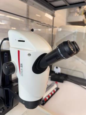 Leica S9i Stereo Microscope-cover