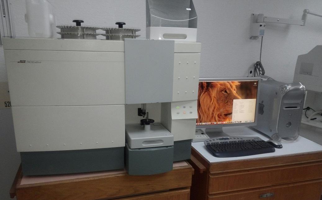 BD Biosciences FACSCalibur