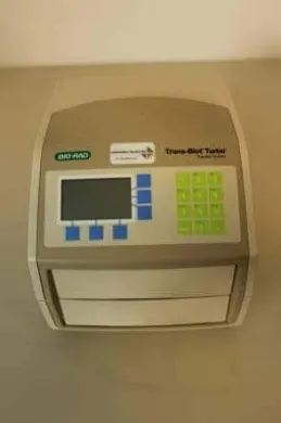 Bio-Rad Trans-Blot Turbo Protein Transfer System