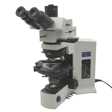 Olympus BX51 Polarizing Microscope with Bertrand Lens for Asbestos Analysis