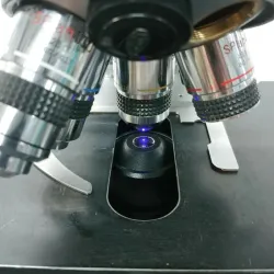 Olympus BH2 Microscope with Fluorescence and Super Wide Trinocular Head, 8 of 11