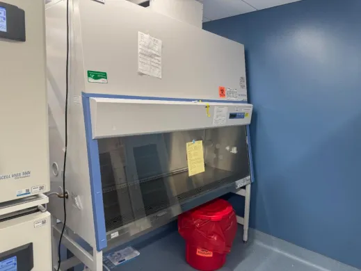 Thermo 1300 Series A2 6' BioSafety Cabinet