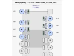 BD FACSymphony X-50 Five-Laser Multiparameter Flow Cytometer with HTS Sampler & Supply System, 8 of 30