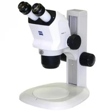 Zeiss Stemi 508 Stereo Microscope on Plain Stand