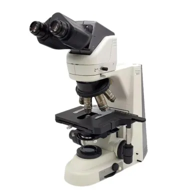 Nikon Eclipse 50i Compound Microscope with 50x Oil Immersion Objective