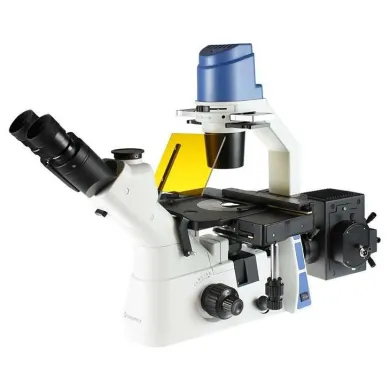 Oxion OX.2453-PLF