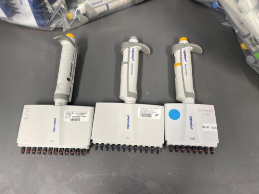 Lot Of Eppendorf Research Plus Multichannel Pipettes - Quantity 3-cover