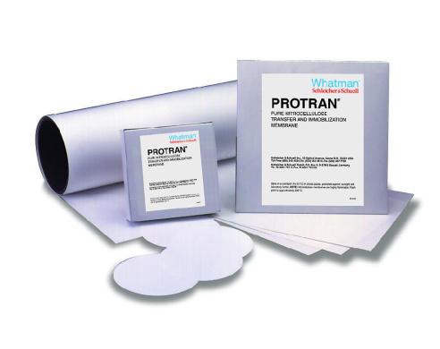 Whatman Protran Nitrocellulose Membrane-cover