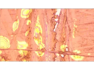 Zeiss AXIO Observer.Z1m Inverted Reflected-Light Motorized Metallurgical Microscope, 8 of 35