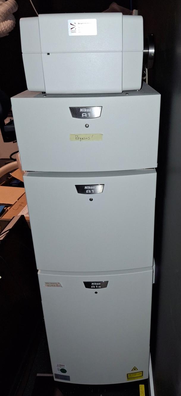 Nikon A1R Confocal System Parts Package (Resonant Scanner + A1R Controller + DUG + DUS 32-PMT) - serviced annually