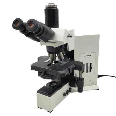 Olympus BX50 Research Microscope with Phase Contrast and Fluorite Objectives