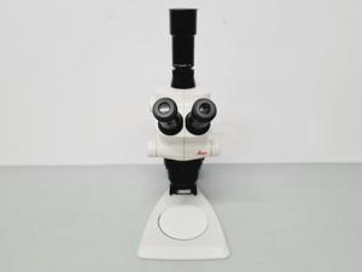 Leica S6D Stereo Microscope 6.3x-40x Leica L2 Lightbox and Schott KL 150 Lab-cover