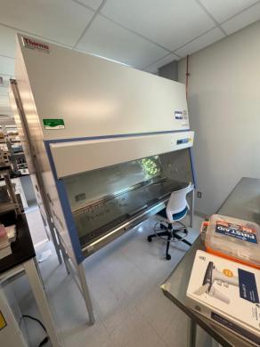 Thermo Fisher Scientific 1300 Series A2 6-Foot Class II Biosafety Cabinet-cover