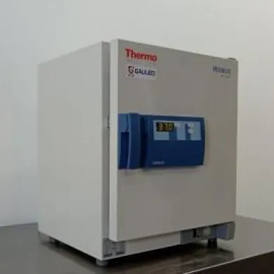 Thermo Scientific Heraeus B6 Natural Convection Laboratory Oven
