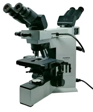 Olympus BX40 Compound Microscope with Dual Head and 100x Oil Objective