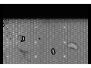 BD Rhapsody Scanner Single-Cell Analysis System with Rhapsody Express for High-Throughput Multiomic Profiling, 16 of 18