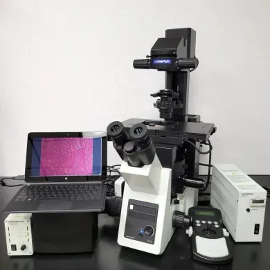 Olympus IX73 Inverted Microscope with Phase Contrast, Fluorescence, and Motorized Stage