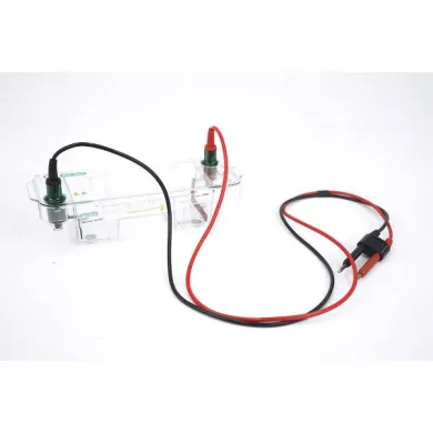 Bio-Rad Mini-Sub Cell GT Horizontal Gel Electrophoresis System