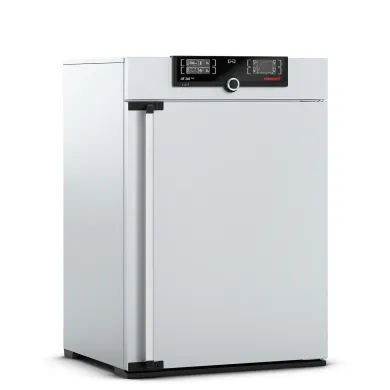 Memmert IF260plus Forced Circulation Incubator 256L, 115V