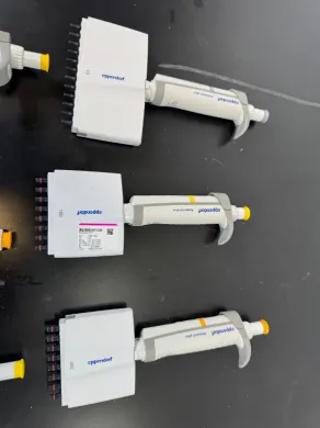 Eppendorf Research Plus Multichannel Manual Pipettes - Set of 6